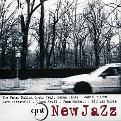 last ned album Various - New Jazz
