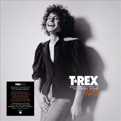 1973: Whatever Happened to the Teenage Dream?