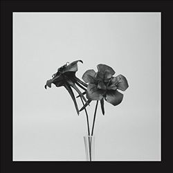 descargar álbum Jlin - Dark Lotus