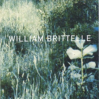 William Brittelle: Palisades