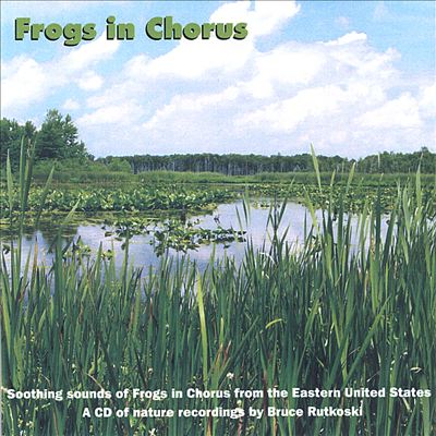 Frogs in Chorus