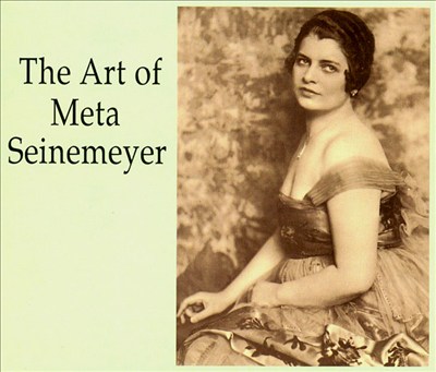 The Art of Meta Seinemeyer