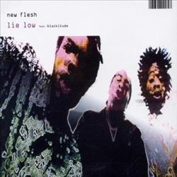 descargar álbum New Flesh - Lie Low