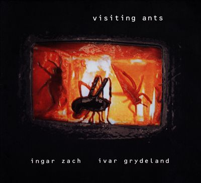 Visiting Ants