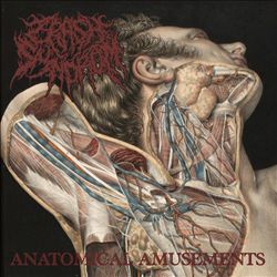 last ned album Crash Syndrom - Anatomical Amusements