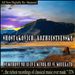 Shostakovich: Symphony No. 10; The Bolt Suite