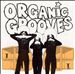 Organic Grooves 4