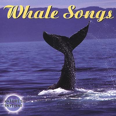 Nature's Rhythms: Whale Songs