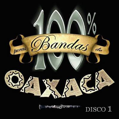 100% Puras Bandas de Oaxaca Disco, Vol. 1