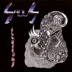 last ned album Sadus - Illusions