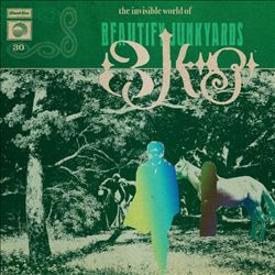 baixar álbum Beautify Junkyards - The Invisible World Of Beautify Junkyards