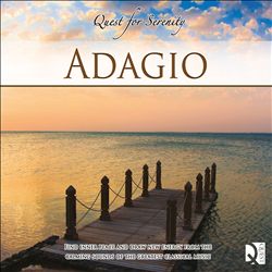 last ned album Various - Quest For Serenity Adagio