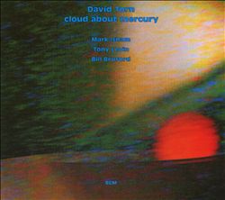 Torn, David : Cloud About Mercury (1987)