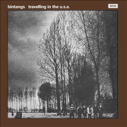 Album herunterladen Bintangs - Travelling In The USA