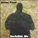 Invisible Me