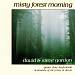 Misty Forest Morning