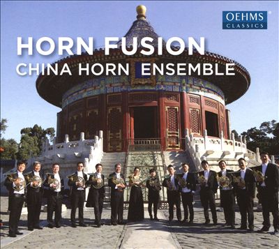 Horn Fusion