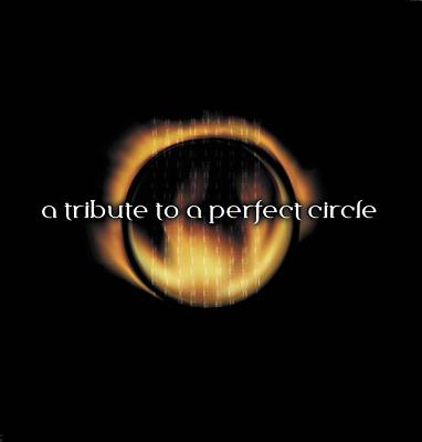 A Tribute to a Perfect Circle