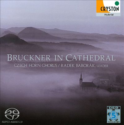 Bruckner in Cathedral