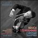 Bruch, Stenhammar