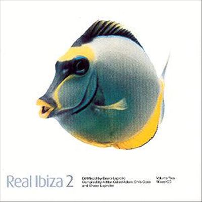 Real Ibiza, Vol. 2 [Single Disc]