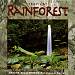 Nature Recordings: Tropical Rainforest