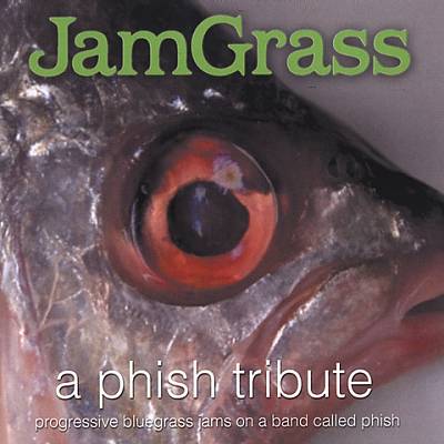 Jamgrass: Phish