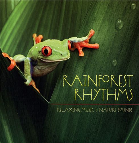 Rainforest Rhythms: Relaxing Music & Nature Sounds