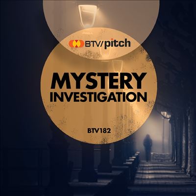 Mystery Investigation
