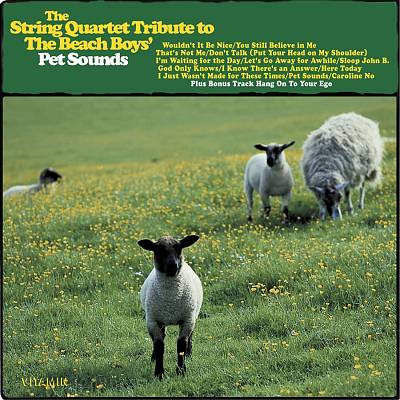 The String Quartet Tribute to the Beach Boys' Pet Sounds