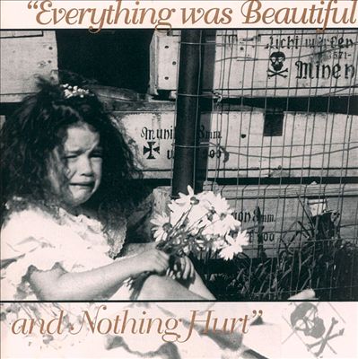 Everything Was Beautiful and Nothing Hurt