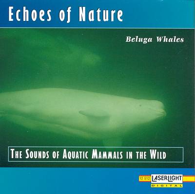 Echoes of Nature: Beluga Whales