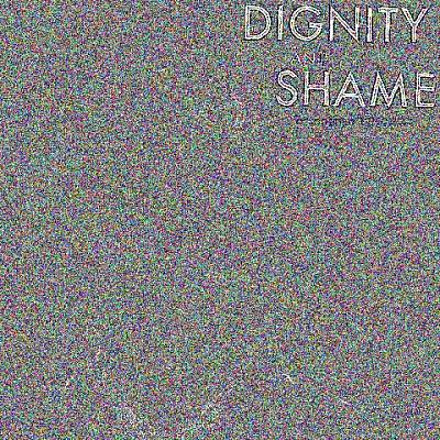 Dignity and Shame