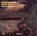 Gottschalk: Piano Music - 7