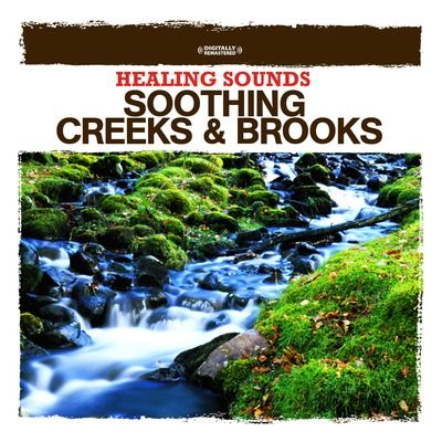 Healing Sounds: Soothing Creeks & Brooks