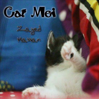 Cat Mei