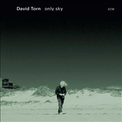 Torn, David : Only Sky (2015)