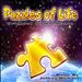 Puzzles of Life Original Video Game Score