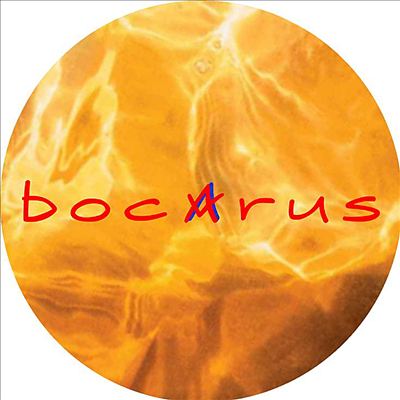 Bocarus
