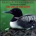 Sounds of Nature: The Cry of The Loon