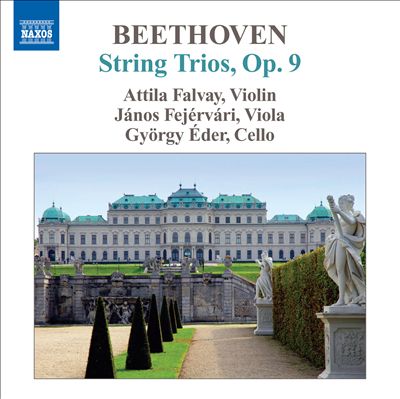 Trio for violin, viola & cello in D major, Op. 9/2