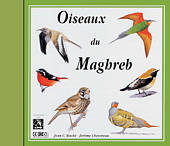 Sounds of Nature: Birds of North-West Africa