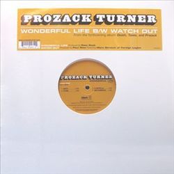 baixar álbum Prozack Turner - Wonderful Life