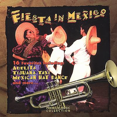 Fiesta in Mexico [Premium]