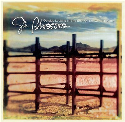 Outside Looking In: The Best of the Gin Blossoms
