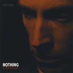 last ned album Joe Lally - Nothing Is Underrated