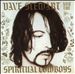 Dave Stewart & Spiritual Cowboys