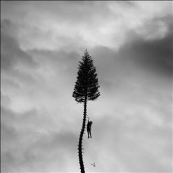 ladda ner album Manchester Orchestra - A Black Mile To The Surface