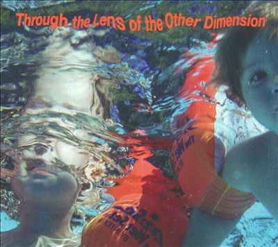 Through the Lens of the Other Dimension