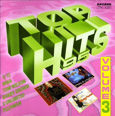Top Hits 95, Vol. 3